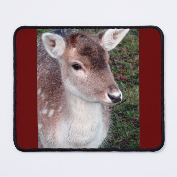 Item preview, Deer Portrait designed and sold by JoyPhotoArt.