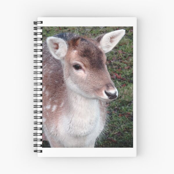 Item preview, Deer Portrait designed and sold by JoyPhotoArt.