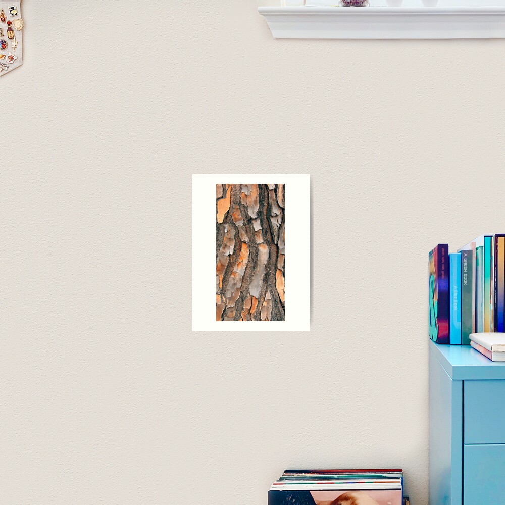 Scots Pine - in colour Art Print