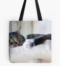 Tommy 7 Tote Bag