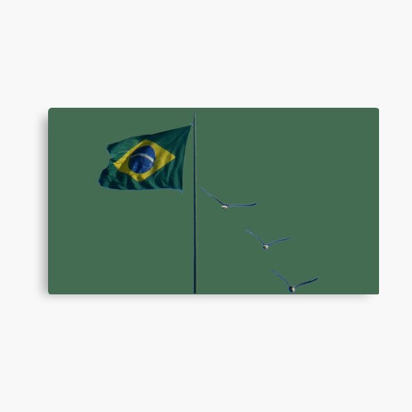 Winds of Brazil - green Canvas Print