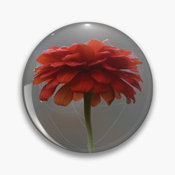 Item preview, The Web of Life designed and sold by KBarrett-ForAwe.