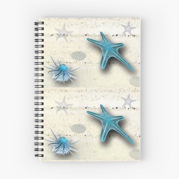 Item preview, © Starfish, sea urchins, spiny oyster shell designed and sold by GeoPipics.