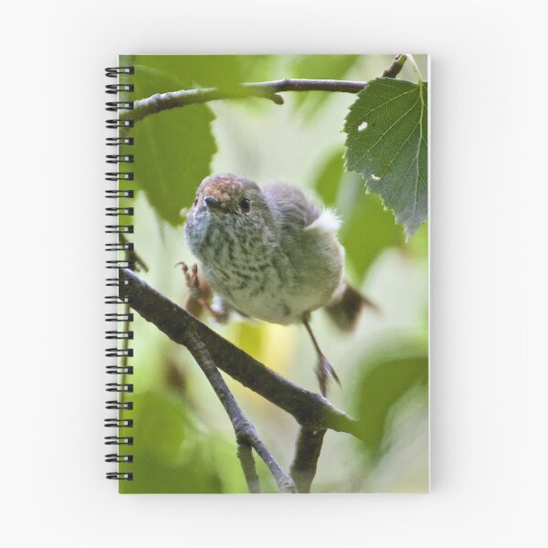Item preview, THORNBILL ~ Brown Thornbill w66ZMVYp by David Irwin designed and sold by tasmanianartist.