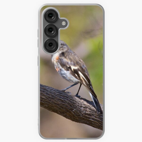ROBIN ~ Flame Robin LGRAkKyB by David Irwin Samsung Galaxy Soft Case