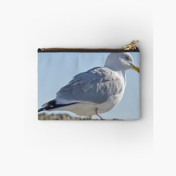 Item preview, Herring Gull at Lyme,Dorset UK designed and sold by lynn carter.
