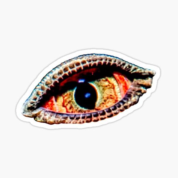 Item preview, Dragon eye designed and sold by toadsforall.