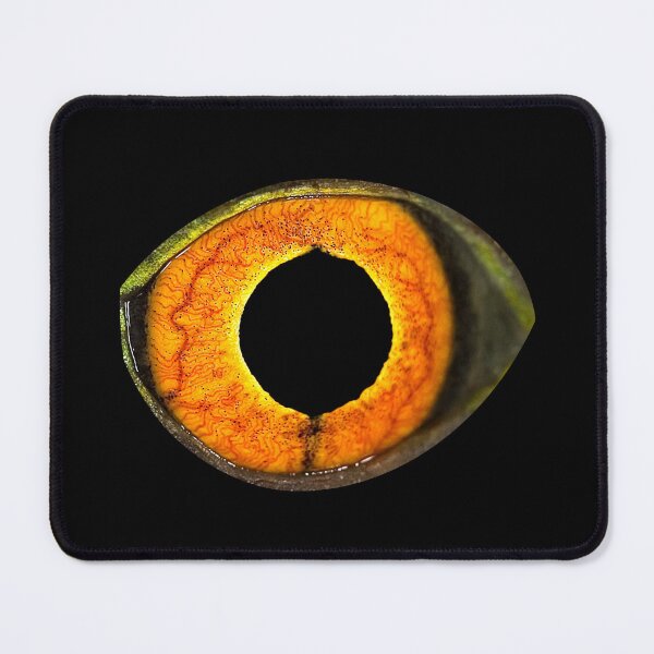 Item preview, Dragon eye designed and sold by toadsforall.