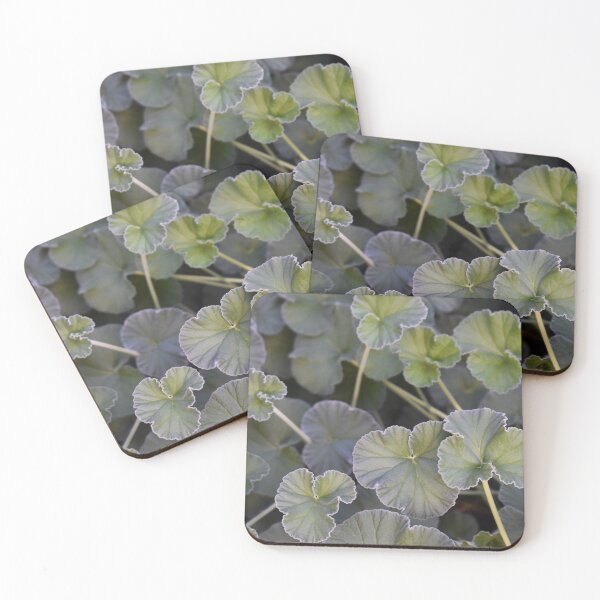 Item preview, Geraniums designed and sold by okomedesign.