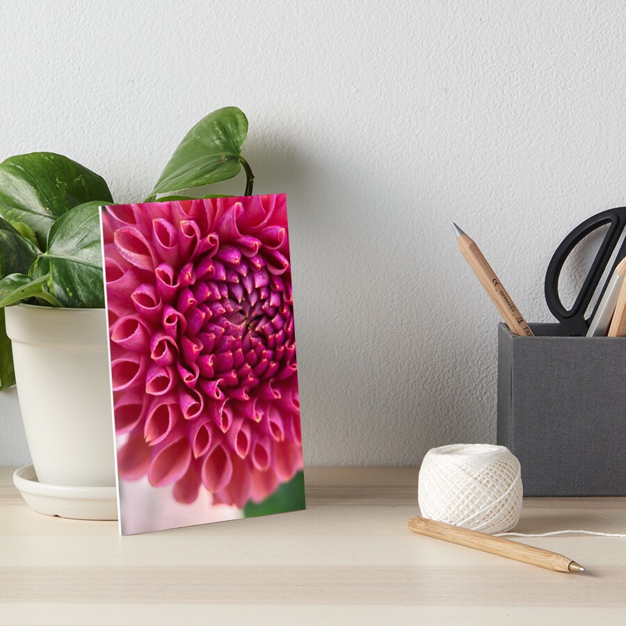 Item preview, Art Board Print designed and sold by idlewildblooms.