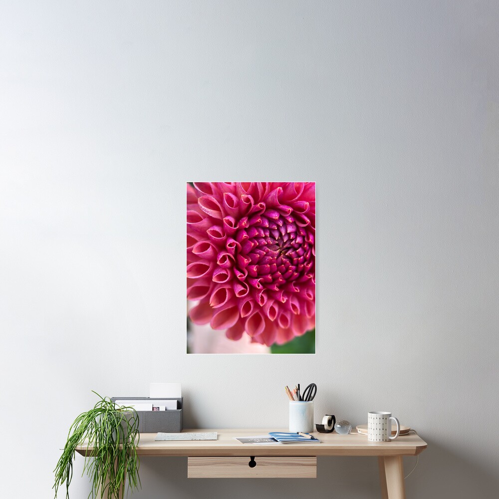 Item preview, Poster designed and sold by idlewildblooms.
