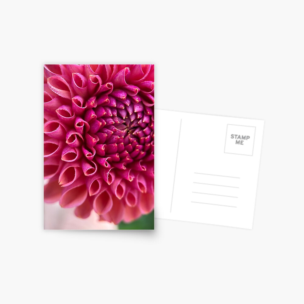 Item preview, Postcard designed and sold by idlewildblooms.