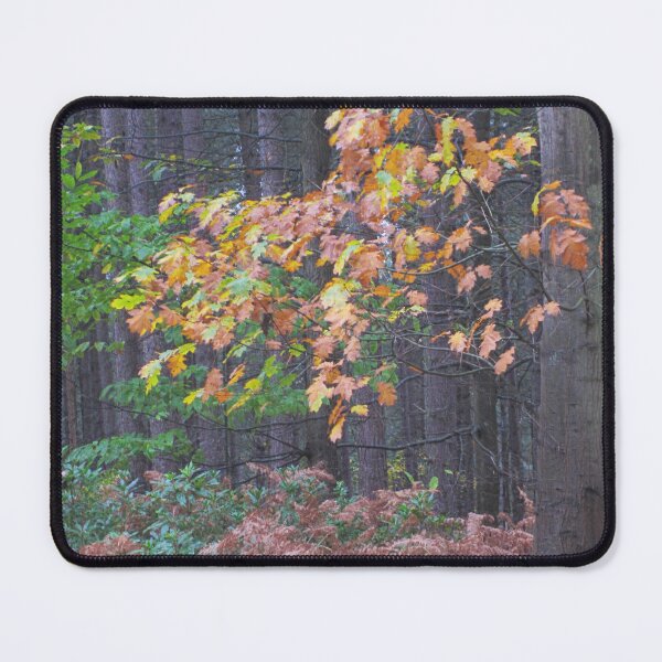 Item preview, Autumn designed and sold by Paul Pasco.