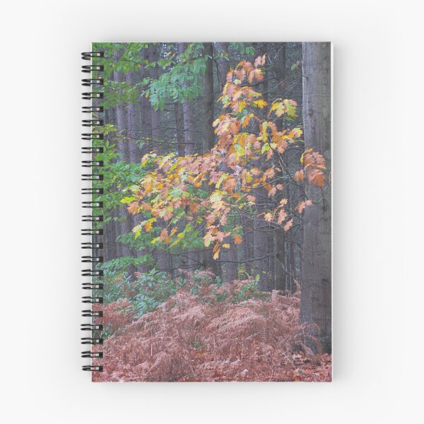 Item preview, Otoño designed and sold by Paul Pasco.