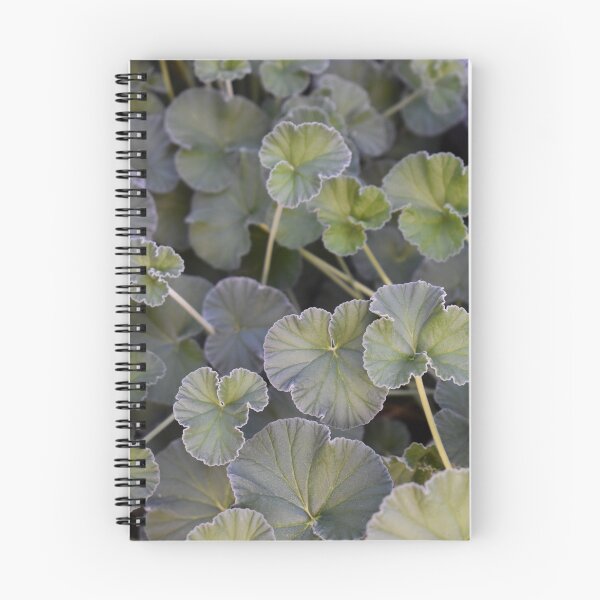 Item preview, Geraniums designed and sold by okomedesign.