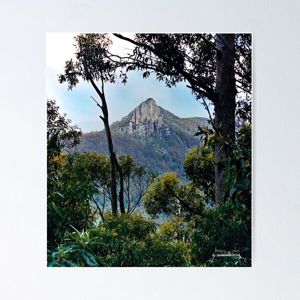Item preview, SCENES ~ SCENERY ~ Cathedral Rock by tasmanianartist designed and sold by tasmanianartist.