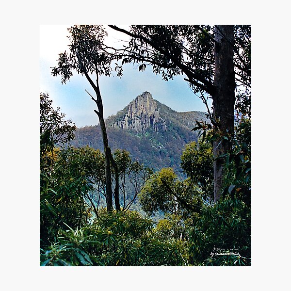 Item preview, SCENES ~ SCENERY ~ Cathedral Rock by tasmanianartist designed and sold by tasmanianartist.