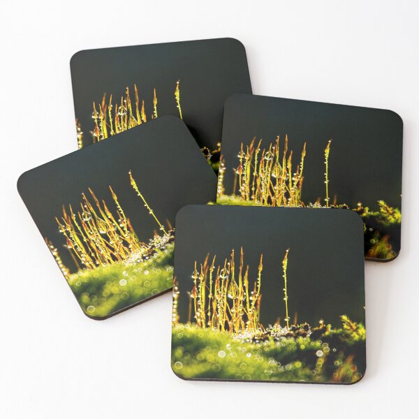 Item preview, Dewy Moss Sporophytes designed and sold by Dorset Girl.