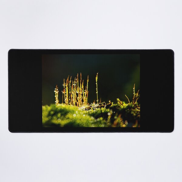 Item preview, Dewy Moss Sporophytes designed and sold by Dorset Girl.