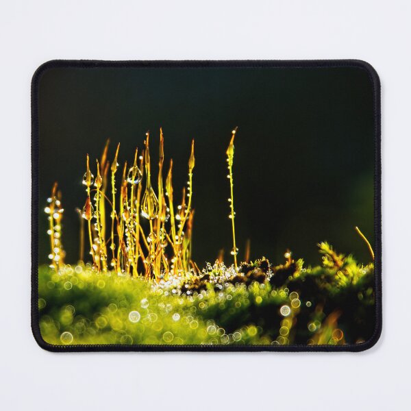 Item preview, Dewy Moss Sporophytes designed and sold by Dorset Girl.