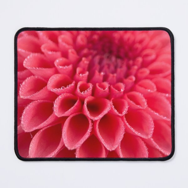Item preview, Parkland Tribute Dahlia - Coral Flower designed and sold by idlewildblooms.