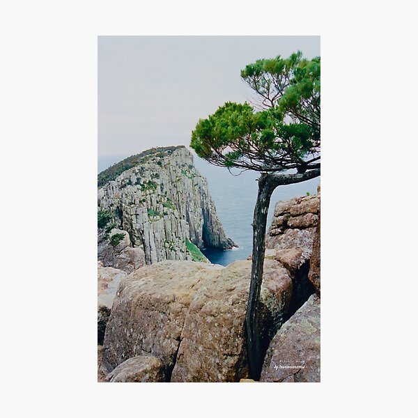 Item preview, SCENES, SCENERY ~ Cape Hauy (4) by tasmanianartist designed and sold by tasmanianartist.