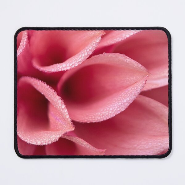 Item preview, Orange Globe Dahlia - Peach Dahlia Flower designed and sold by idlewildblooms.