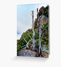 SCENES & SCENERY ~ On the Way to Tom Thumb by tasmanianartist Greeting Card