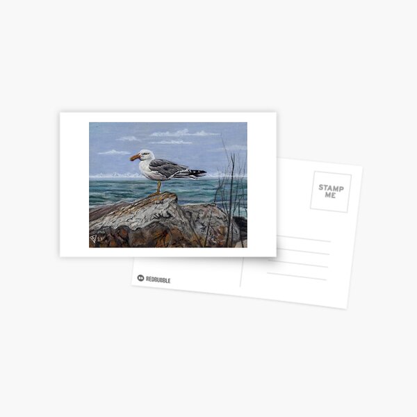 The Portsmouth Seagul Postcard