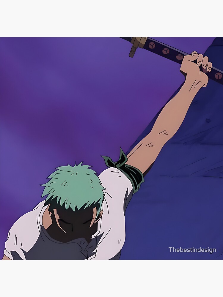 Pin em zoro