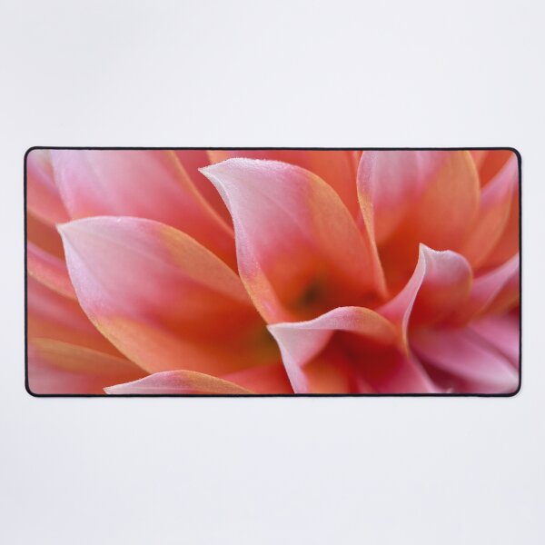 Item preview, Peaches n Cream Dahlia - Peach Pink Flower designed and sold by idlewildblooms.