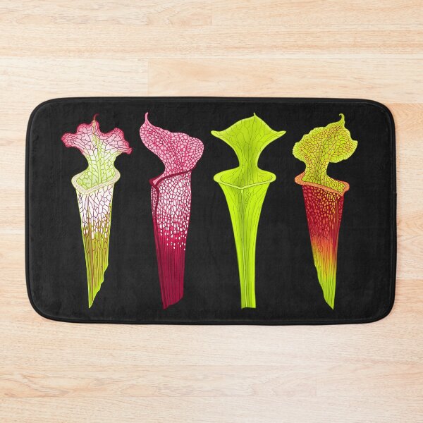 Item preview, Four Sarracenia Trumpet Pitchers designed and sold by NepenthesArt.