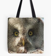 Great gray owl Tote Bag