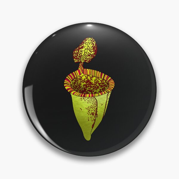 Item preview, Nepenthes Attenborough Carnivorous Pitcher Plant designed and sold by NepenthesArt.