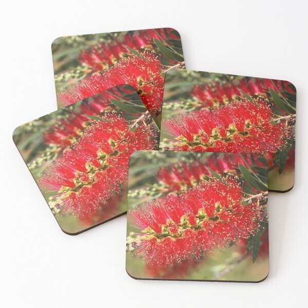 Item preview, Australian Red Bottlebrush Flowers designed and sold by Joy Watson - Natural Light Photography .