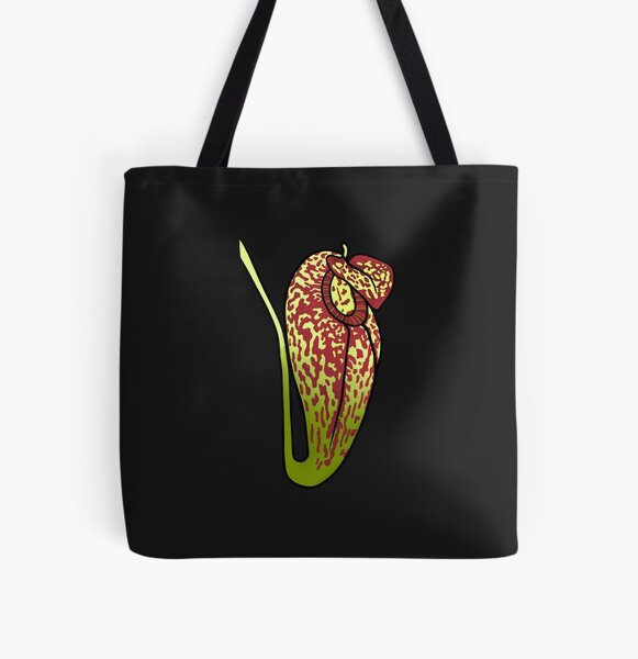 Nepenthes Burkei Carnivorous Pitcher Plant