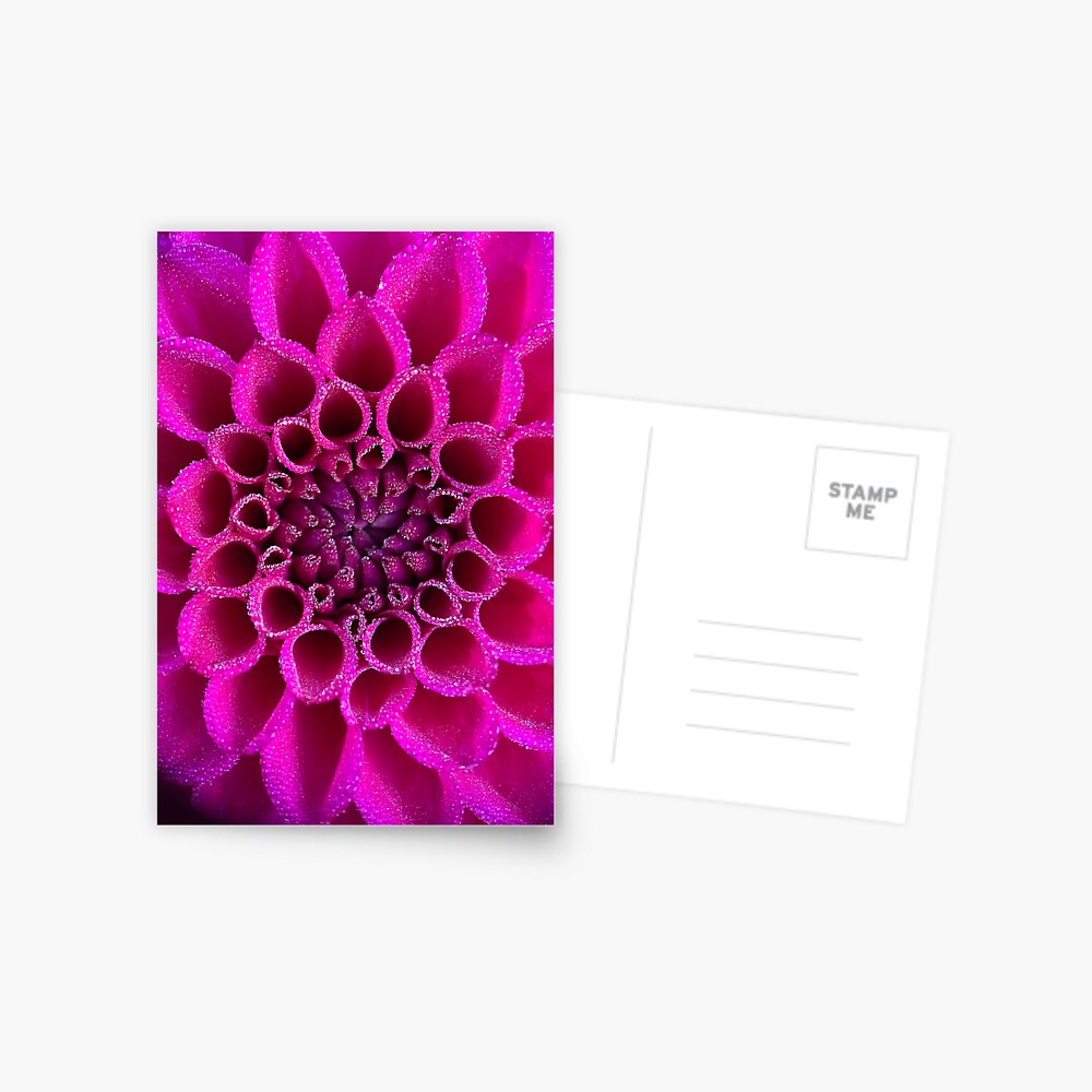 Item preview, Postcard designed and sold by idlewildblooms.