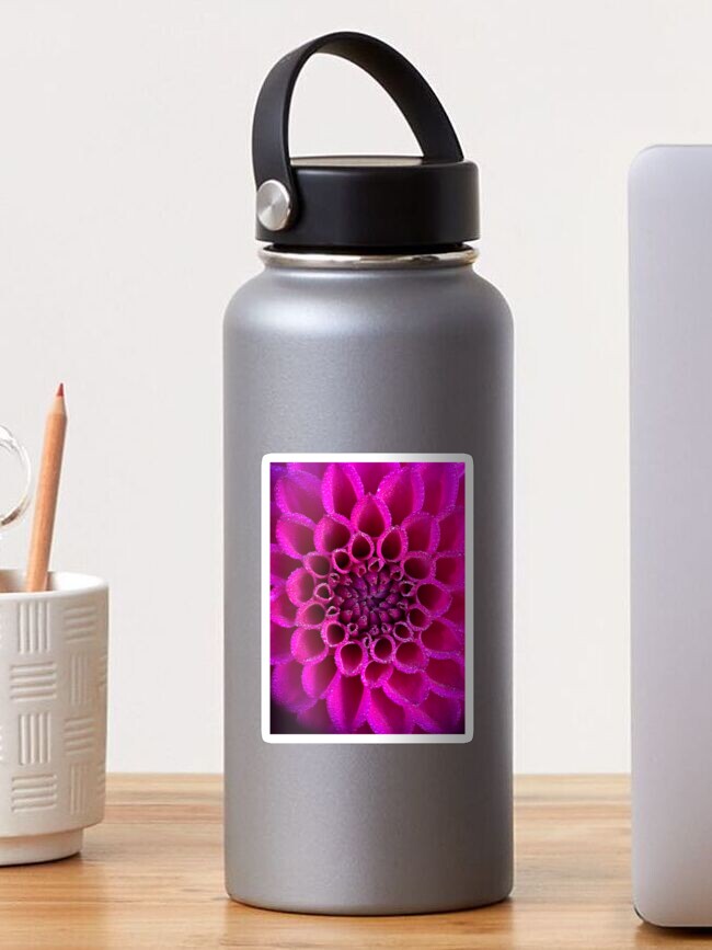Thumbnail 1 of 3, Sticker, Jowey Nina Dahlia Flower - Bright Pink Flower designed and sold by idlewildblooms.
