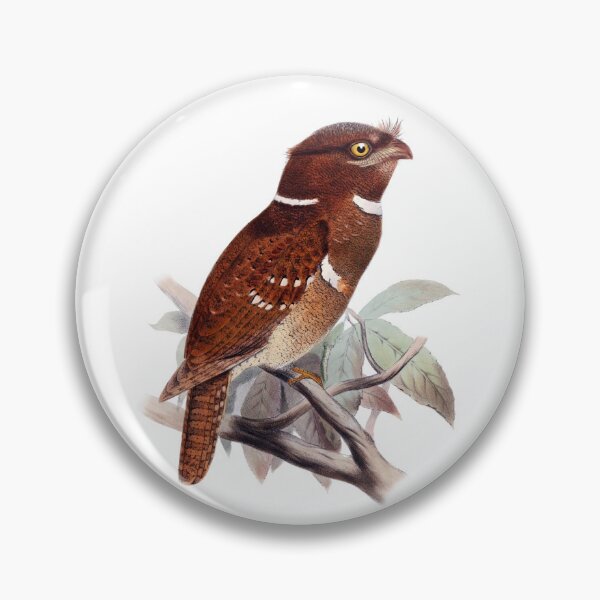 Item preview, Batrachostomus septimus (Philippine Frogmouth) designed and sold by linggalibrary.