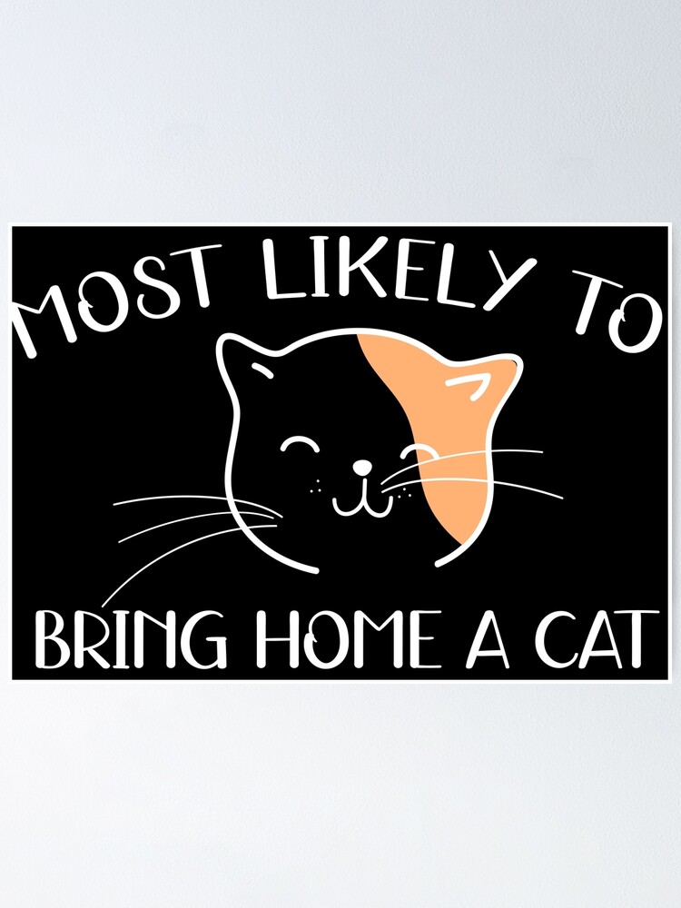 lovely-cat-quotes-most-likely-to-bring-home-a-cat-cute-cat-lovers