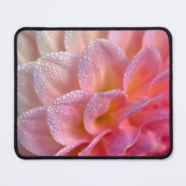 Item preview, Hillcrest Suffusion Dahlia - Peach Pink Flower designed and sold by idlewildblooms.