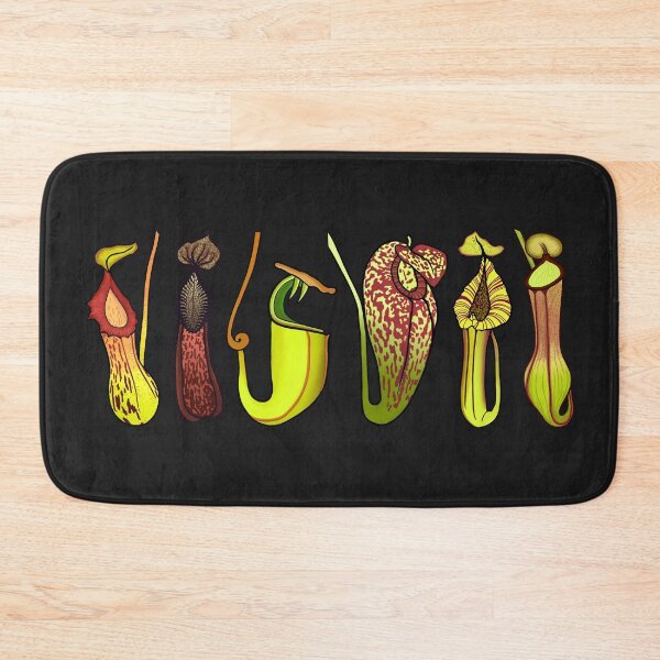 Item preview, Six Nepenthes Carnivorous Pitcher Plants designed and sold by NepenthesArt.