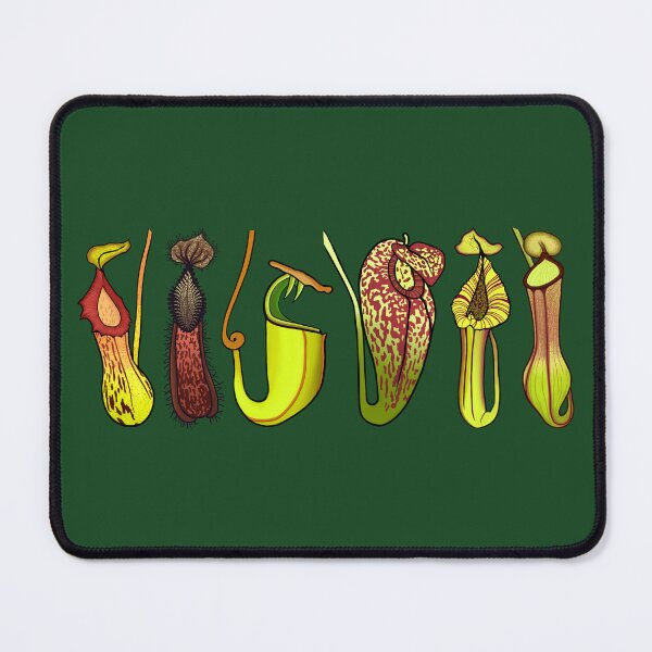 Item preview, Six Nepenthes Carnivorous Pitcher Plants on Dark Green designed and sold by NepenthesArt.