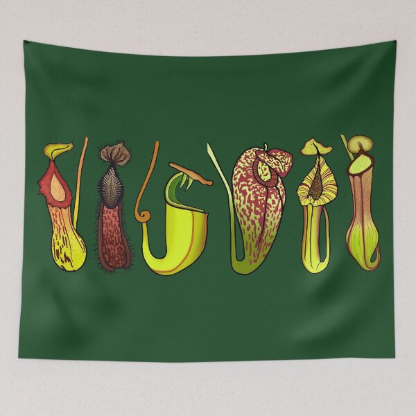 Item preview, Six Nepenthes Carnivorous Pitcher Plants on Dark Green designed and sold by NepenthesArt.