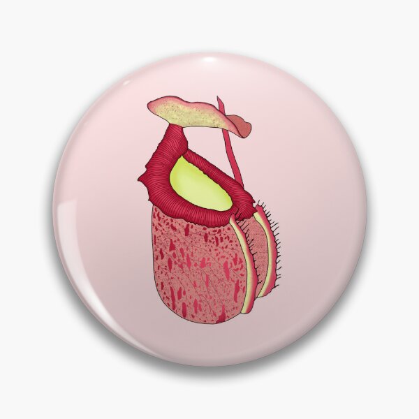 Item preview, Nepenthes Sibuyanensis Carnivorous Pitcher Plant on Pink designed and sold by NepenthesArt.