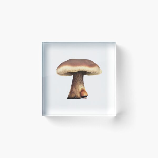 Item preview, Iyster mushroom Artwork designed and sold by The Love Quill.