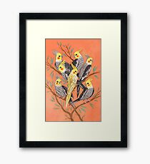 Cockatiel Fun Framed Print