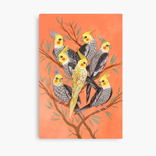 Cockatiel Fun Canvas Print