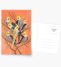 Cockatiel Fun Postcards
