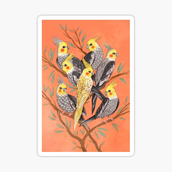 Cockatiel Fun Sticker